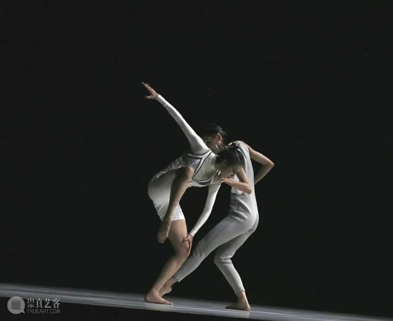 《白蛇·人间启示录》早鸟倒计时｜在遥远未来的异端世界，“法海”他依然不懂爱  国舞剧场 白蛇 人间启示录 未来 法海 早鸟倒计时｜ 异端世界 白蛇传 中国 民间 爱情传说 崇真艺客