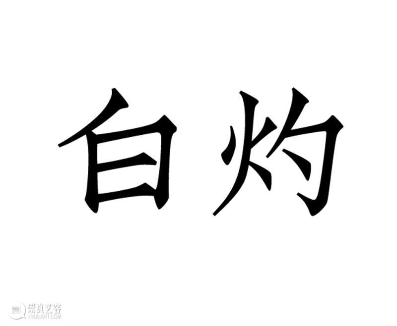 白灼放映丨纪录片《2020北京部分地区部分青年生活状况观察报告》 白灼影像 崇真艺客