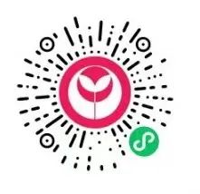 夏末枯蝉秋拾果| 语言学联合书单202109 夏末 语言学 书单 枯蝉秋 蝉鸣 落叶 季节 好书 果实 种子 崇真艺客