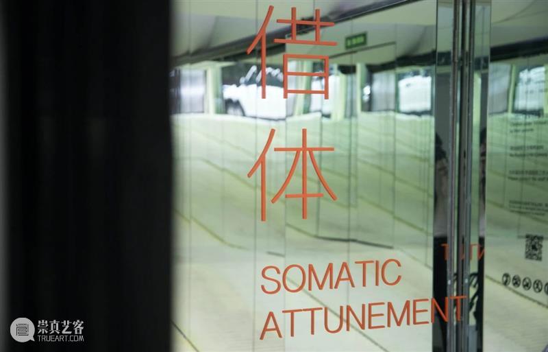 On View | 「借体」作品 Somatic Attunement 借体 Attunement 作品 View 现场 工作室 画廊 上海 Exhibition view 崇真艺客