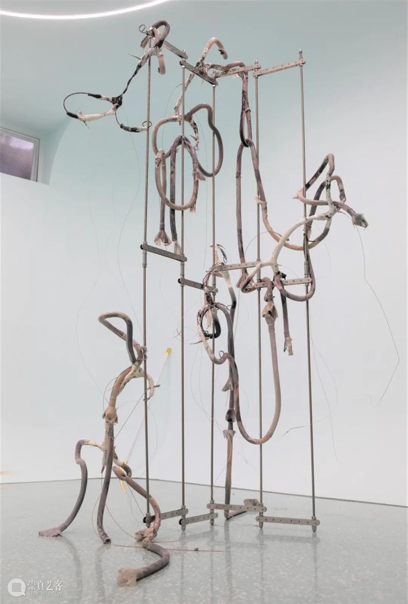 On View | 「借体」作品 Somatic Attunement 借体 Attunement 作品 View 现场 工作室 画廊 上海 Exhibition view 崇真艺客