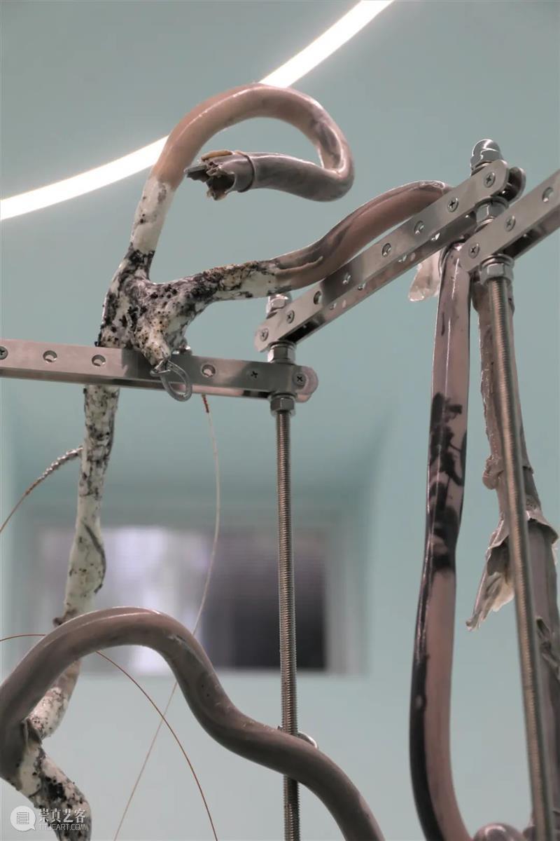 On View | 「借体」作品 Somatic Attunement 借体 Attunement 作品 View 现场 工作室 画廊 上海 Exhibition view 崇真艺客