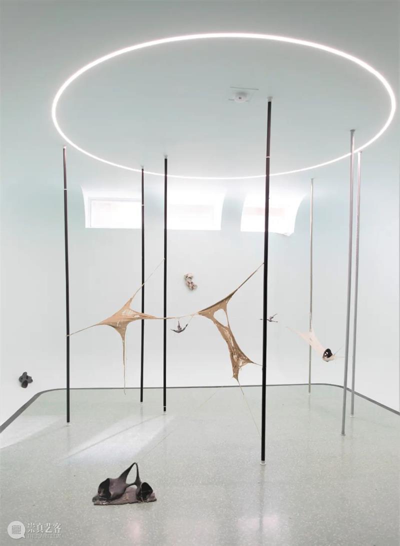 On View | 「借体」作品 Somatic Attunement 借体 Attunement 作品 View 现场 工作室 画廊 上海 Exhibition view 崇真艺客