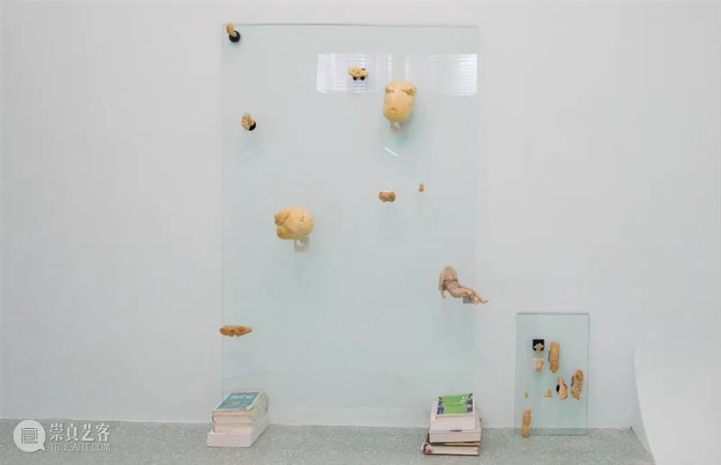 On View | 「借体」作品 Somatic Attunement 借体 Attunement 作品 View 现场 工作室 画廊 上海 Exhibition view 崇真艺客