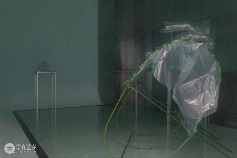 On View | 「借体」作品 Somatic Attunement 借体 Attunement 作品 View 现场 工作室 画廊 上海 Exhibition view 崇真艺客