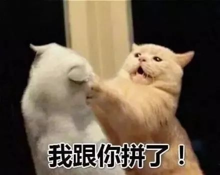 这部收视第一的狗血神剧,爽得停不下来 神剧 作者 电影 公号 豆瓣 内容 电视剧 弱势群体 儿媳妇 婚结 崇真艺客