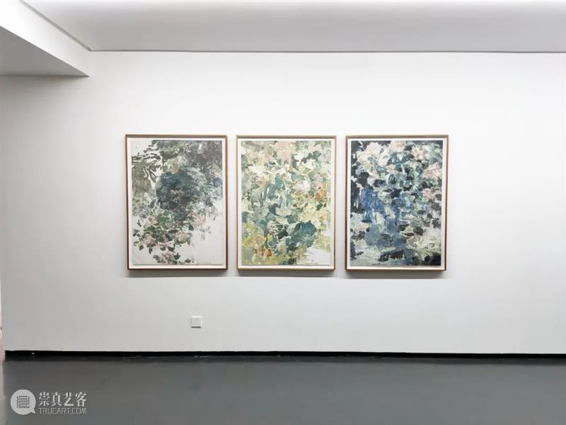 【现场】花石图——王亚彬 王亚彬 花石 现场 花石图 展期 地点 AYE 画廊 近期 纸本 崇真艺客