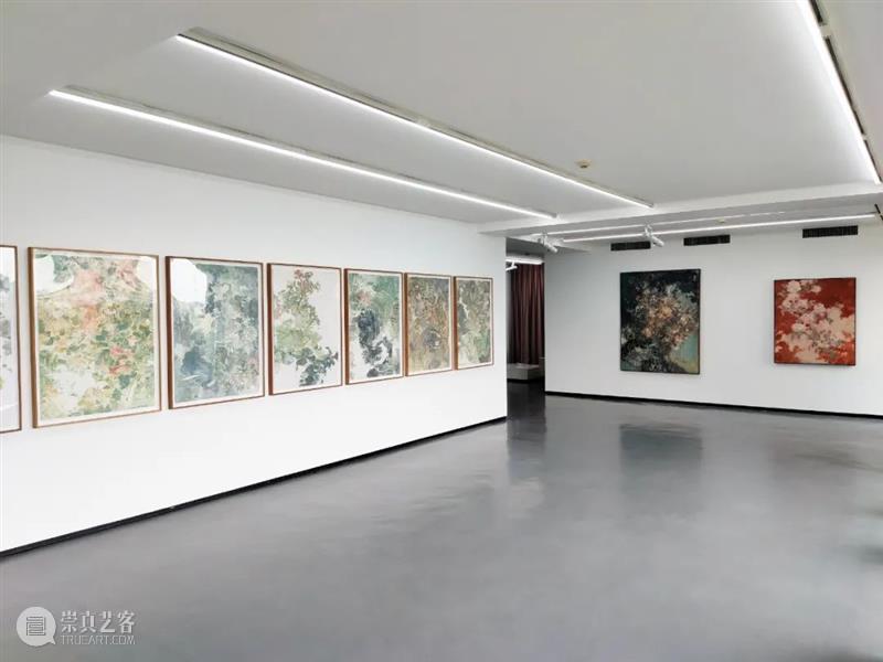 【现场】花石图——王亚彬 王亚彬 花石 现场 花石图 展期 地点 AYE 画廊 近期 纸本 崇真艺客