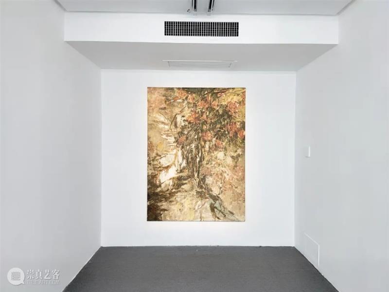 【现场】花石图——王亚彬 王亚彬 花石 现场 花石图 展期 地点 AYE 画廊 近期 纸本 崇真艺客