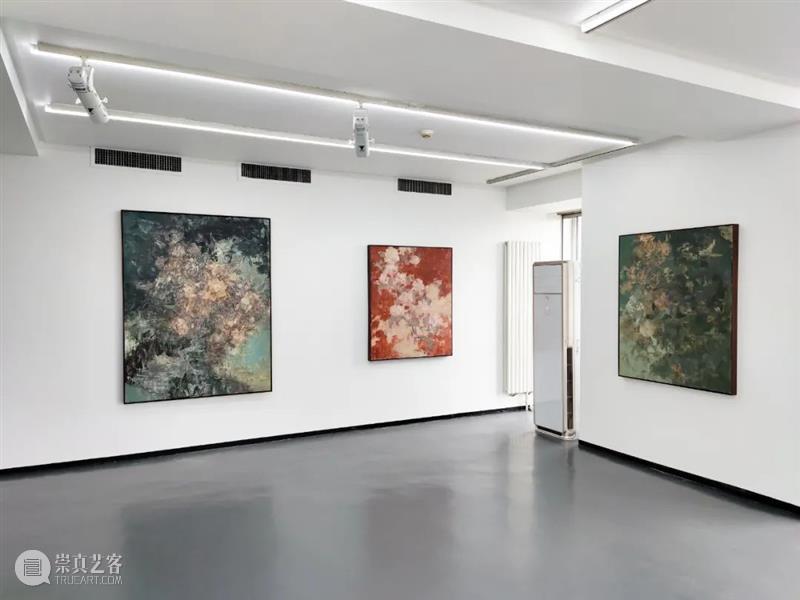 【现场】花石图——王亚彬 王亚彬 花石 现场 花石图 展期 地点 AYE 画廊 近期 纸本 崇真艺客