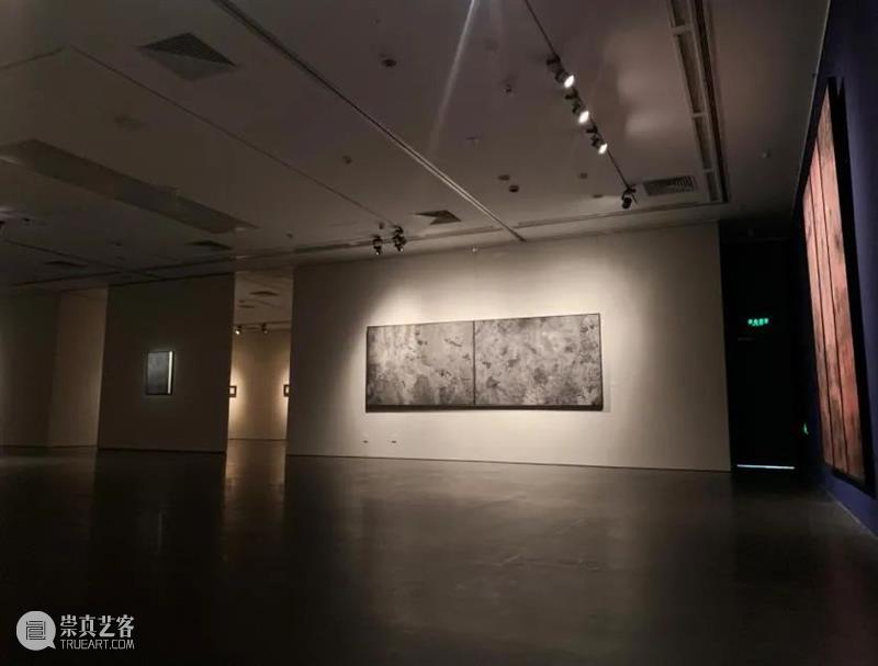 “青苔上——庞飞作品展”于10月10日在北京画院美术馆开幕 青苔 庞飞 作品展 北京画院美术馆 北京画院 上海中国画院 学术 上海 新闻晨报 画展 崇真艺客