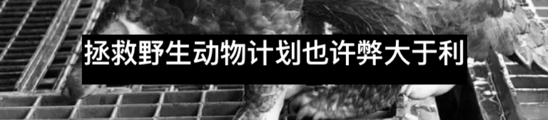 一个人的计划：复活我们无法拯救的动物 动物 计划 一个人 NEVOLS利维坦按 科学家 地球 以来 生物 专家 人类 崇真艺客