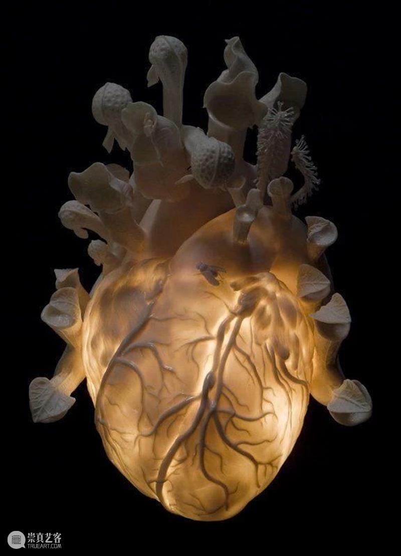 雕塑丨Kate Macdowell:用另类陶瓷雕塑展现人与动物共同存亡 Macdowell 陶瓷 雕塑 动物 上方 中国舞台美术学会 右上 星标 本文 巨匠 崇真艺客