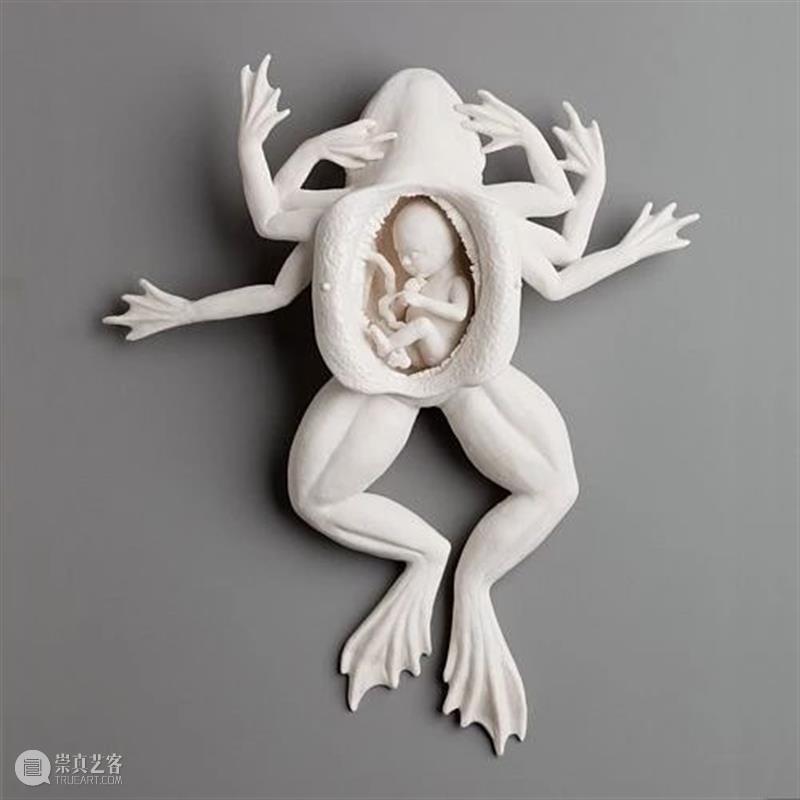雕塑丨Kate Macdowell:用另类陶瓷雕塑展现人与动物共同存亡 Macdowell 陶瓷 雕塑 动物 上方 中国舞台美术学会 右上 星标 本文 巨匠 崇真艺客