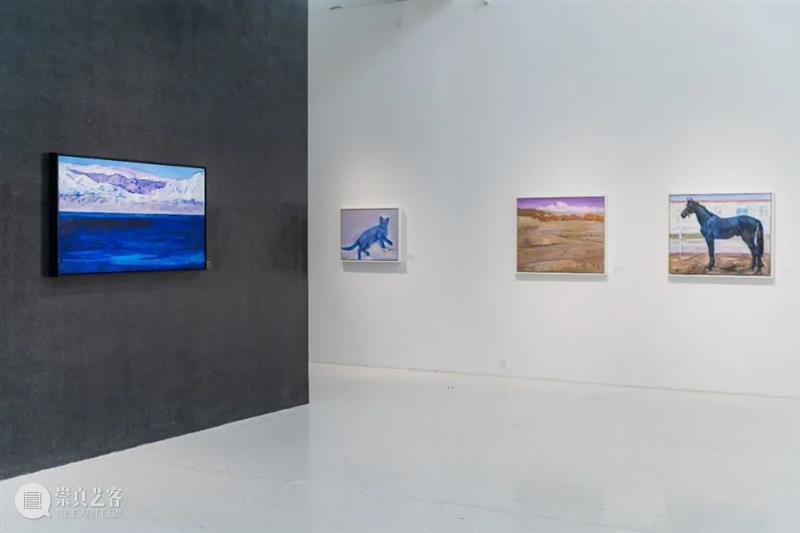 索卡北京｜《鸽之舞》胡西丹·克里木作品展成功开幕 作品展 北京 胡西丹·克里木 索卡 鸽之舞 名称 胡西丹 克里木 DoveDance 策展人 崇真艺客