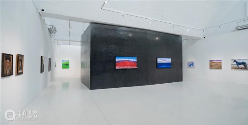 索卡北京｜《鸽之舞》胡西丹·克里木作品展成功开幕 作品展 北京 胡西丹·克里木 索卡 鸽之舞 名称 胡西丹 克里木 DoveDance 策展人 崇真艺客