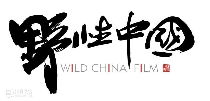 云映荟｜十月「​世界电影分享会」公布三大单元，本周首推自然单元 世界 电影 单元 云映荟 自然 复星艺术中心云映荟 项目 国家 风格 影片 崇真艺客