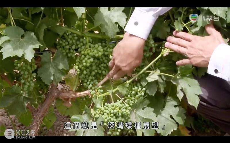 豆瓣9.5，年度高分纪录片，我要大声安利 纪录片 豆瓣 安利 年度 高分 上方 影院 页面 右上 星标 崇真艺客