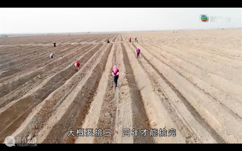 豆瓣9.5，年度高分纪录片，我要大声安利 纪录片 豆瓣 安利 年度 高分 上方 影院 页面 右上 星标 崇真艺客