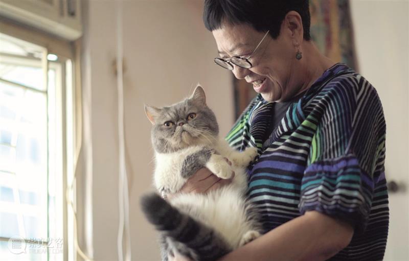 华语电影最伟大导演？想了解她，可以从这部片开始 华语 电影 导演 这部片 许鞍华 女导演 异议 纪录片 问题 答案 崇真艺客