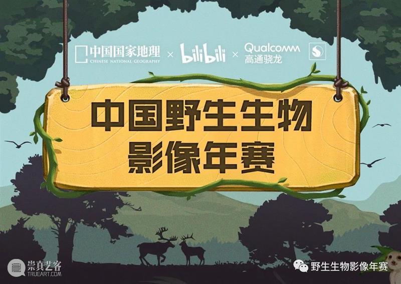 2021中国野生生物影像年赛 | 视频单元 | 入围作品公示 视频 中国 生物 影像 单元 作品 年赛 几个月 以来 工作 崇真艺客