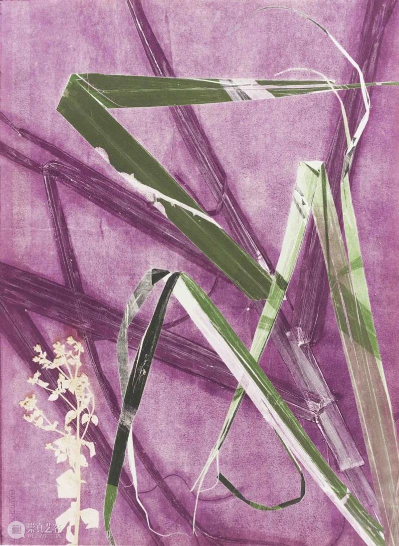 PSA版画工作坊|植物版画 植物 版画 PSA 工作坊 活动 时间 方式 家长 门票 原文 崇真艺客