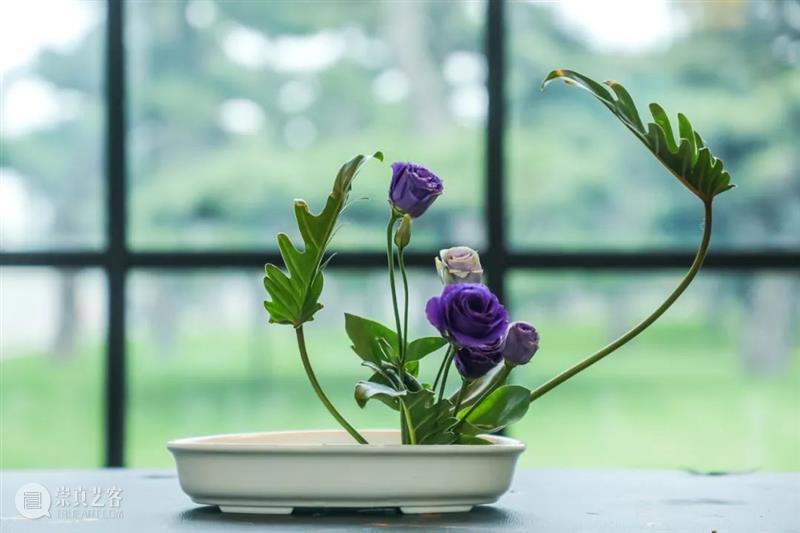 来「松」打卡你的第一件花道艺术作品 艺术 花道 作品 温榆河 格拉斯路 白杨林 松美术馆 绿草地 白房子 松树 崇真艺客