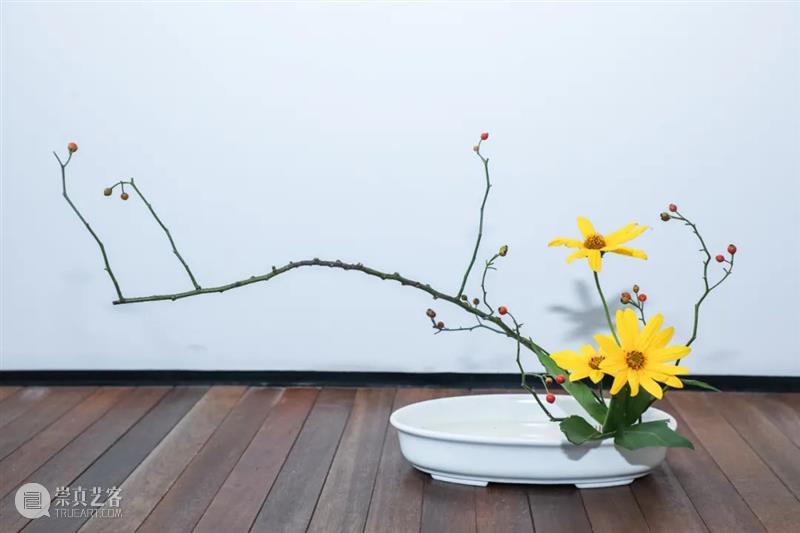 来「松」打卡你的第一件花道艺术作品 艺术 花道 作品 温榆河 格拉斯路 白杨林 松美术馆 绿草地 白房子 松树 崇真艺客