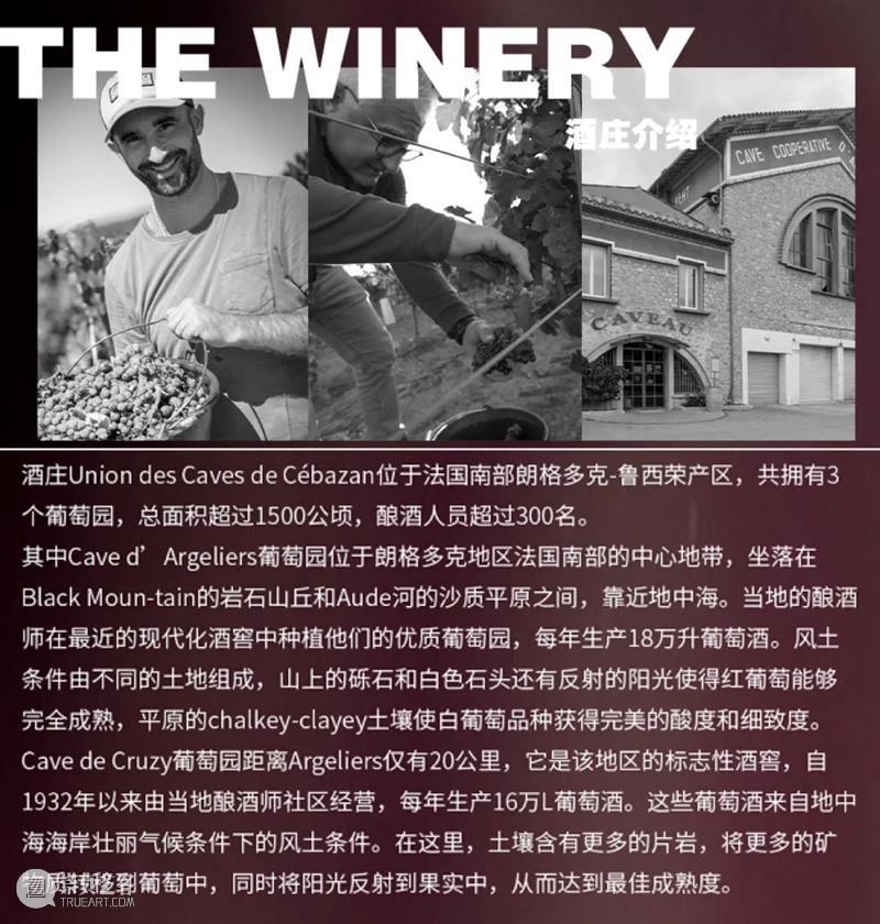 宝龙美术馆 x 薛松 | “紫气东来”跨界联名红酒新品首发 宝龙美术馆 薛松 跨界 红酒 新品 宝石 红色 色调 香气 香草 崇真艺客