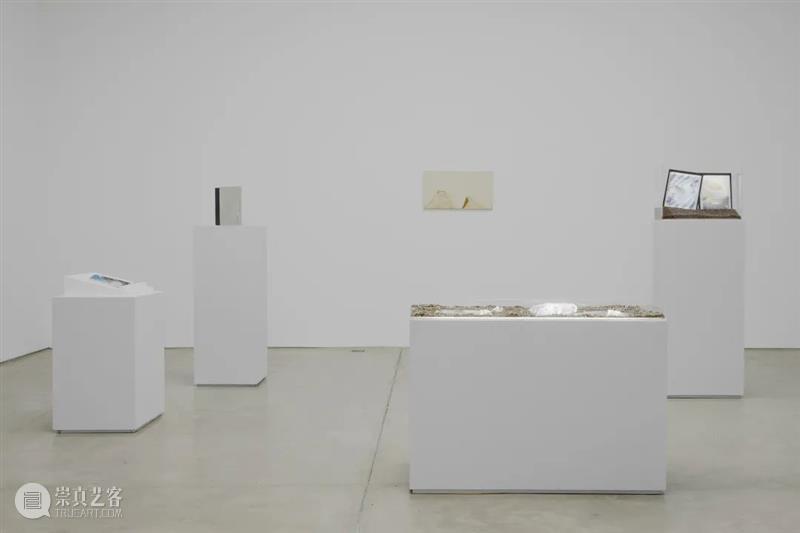 三远当代艺术参展2021北京当代｜展位Booth 3.17 三远 艺术 北京 展位 Booth 全国农业展览馆 博览会 段正渠 马轲 黄丹 崇真艺客