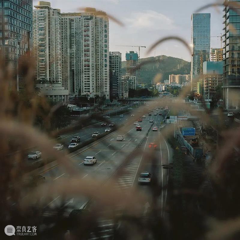 螺旋｜对于移民二代来说，我们的锚在哪里？ 移民 螺旋 深圳 身份 信息 祖籍 甘肃 南方 游客 故乡 崇真艺客