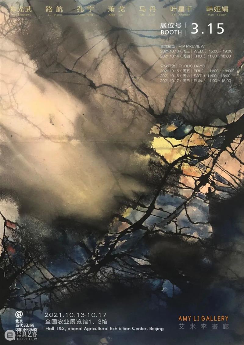 艾米李画廊·北京当代|展览现场 展位3.15 北京 展位 艾米 李画廊 现场 左右 艺术家 海报 艺博会 陈光武 崇真艺客