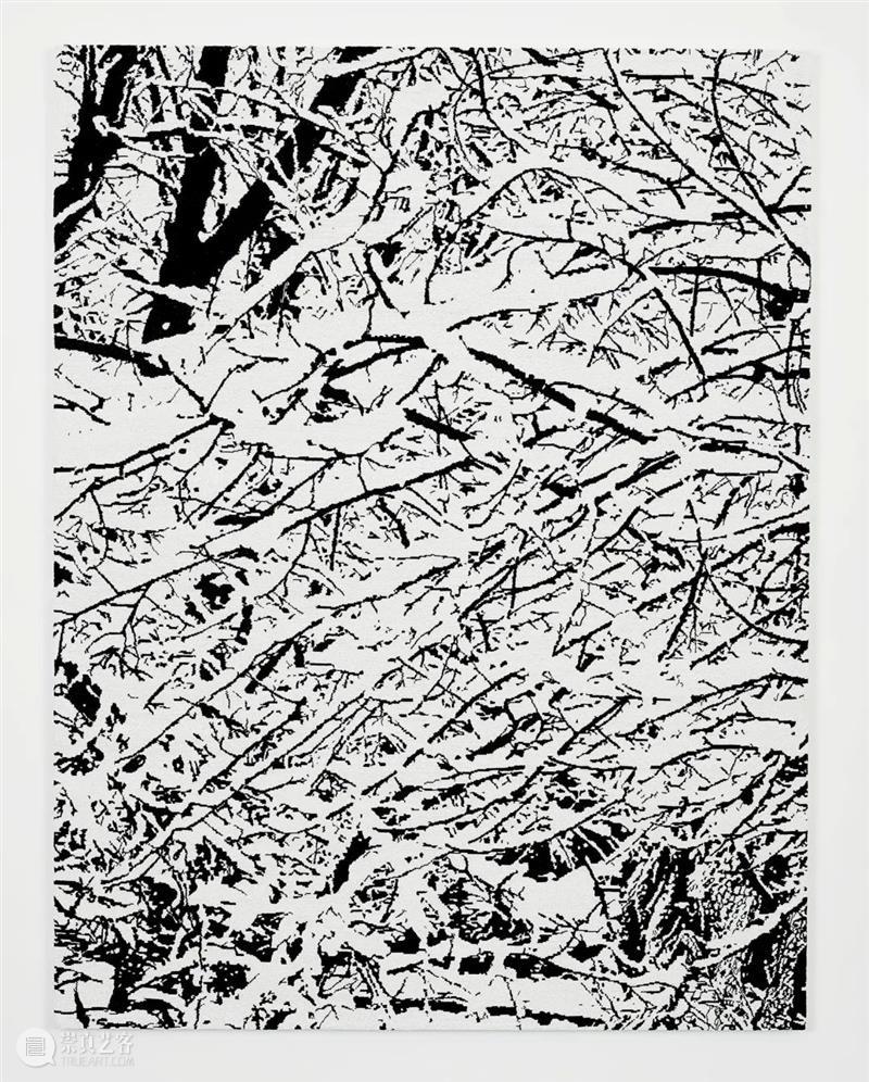 贝浩登参展首届上海自贸区艺术季 上海 自贸区 艺术季 贝浩登 展位 现场 Bao 图片 艺术家 中国(上海)自由贸易试验区 崇真艺客