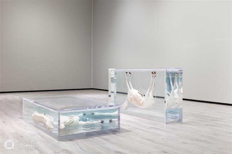 高古轩参加Frieze London艺术博览会及Frieze Master大师展 London Frieze 艺术 博览会 Master 大师展 高古轩 Dawkins高古轩画廊 展会 公众 崇真艺客