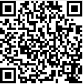 HOW 脱域｜NFT艺术家集合（国外篇 二） 艺术家 HOW NFT 国外 数字 元宇宙 展期 费俊 贾鹏森 李洋 崇真艺客