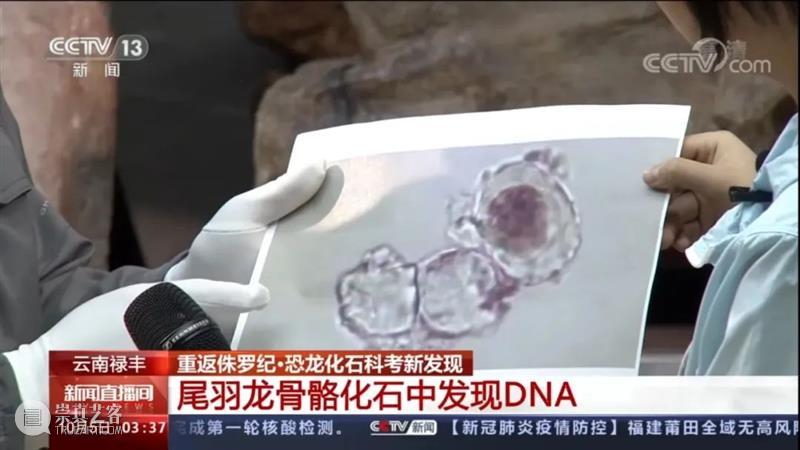 猛犸和恐龙的复活计划,到底靠不靠谱? 恐龙 计划 猛犸 DNA BIOLOGY新 文章 轩然大波 中国 科学家 团队 崇真艺客