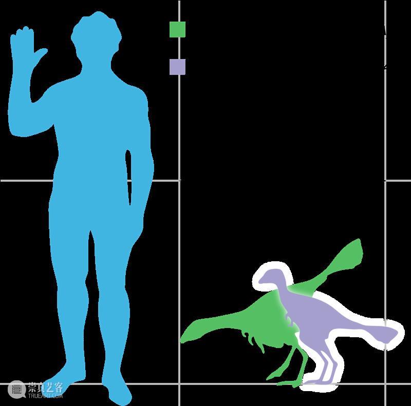 猛犸和恐龙的复活计划，到底靠不靠谱？ 恐龙 计划 猛犸 DNA BIOLOGY新 文章 轩然大波 中国 科学家 团队 崇真艺客