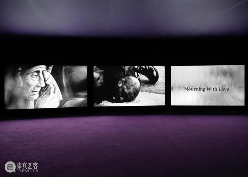 约翰·亚康法 (John Akomfrah): 化混乱为秩序的艺术家 | 纽约时报 纽约时报 约翰 艺术家 秩序 亚康 Murmurations York September October 作者 崇真艺客