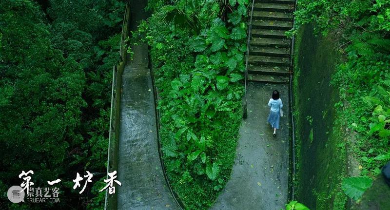 《第一炉香》扑没扑我不知道,原著中令人惊艳的20句话给大家整理好了丨AMNUA 文学 第一炉香 原著 丨AMNUA 文学 许鞍华 王安忆 编剧 马思纯 俞飞鸿 彭于晏 崇真艺客