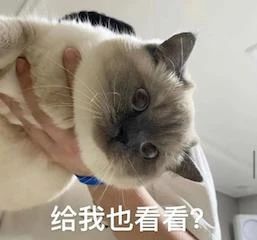 王珞丹新片《不老奇事》提档；《智齿》香港定档 不老奇事 王珞丹 智齿 香港 新片 影视 好剧 小豆 资讯 豆瓣 崇真艺客