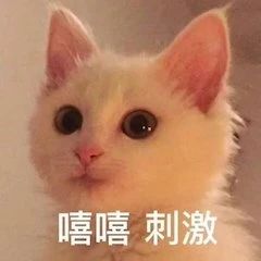 王珞丹新片《不老奇事》提档；《智齿》香港定档 不老奇事 王珞丹 智齿 香港 新片 影视 好剧 小豆 资讯 豆瓣 崇真艺客
