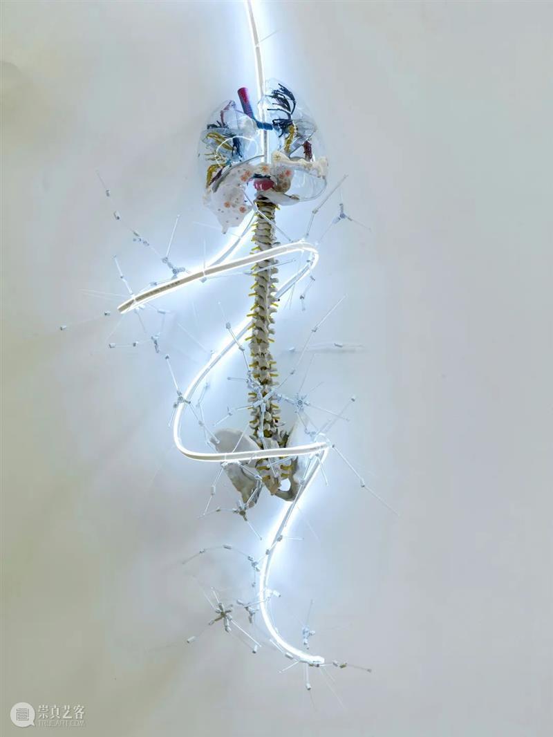 乔空间新展 | 宋琨个展:泛灵净界·鲛人泣珠 空间 宋琨 鲛人泣珠 新展 个展 泛灵净界 乔空间 贝浩登 时间 0011月 崇真艺客