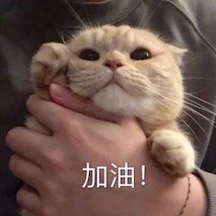 《长津湖》续集正式官宣；Netflix版《三体》确定演员阵容 长津湖 续集 官宣 阵容 Netflix 三体 演员 影视 好剧 小豆 崇真艺客