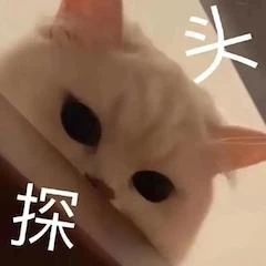 《长津湖》续集正式官宣；Netflix版《三体》确定演员阵容 长津湖 续集 官宣 阵容 Netflix 三体 演员 影视 好剧 小豆 崇真艺客