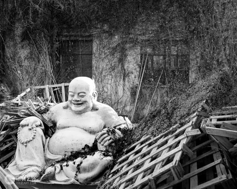 成佛之前/摄影：戴安娜  大督摄影VIP 戴安娜 佛像 作品 殿宇 时候 木头 工艺 苏州城 太湖 半岛 崇真艺客