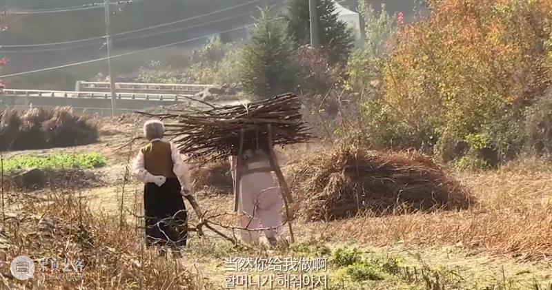 豆瓣9.3分,这部电影让我看到了爱情最好的样子 爱情 电影 豆瓣 样子 故事 现实 现象 爱情故事 老一辈人 身上 崇真艺客