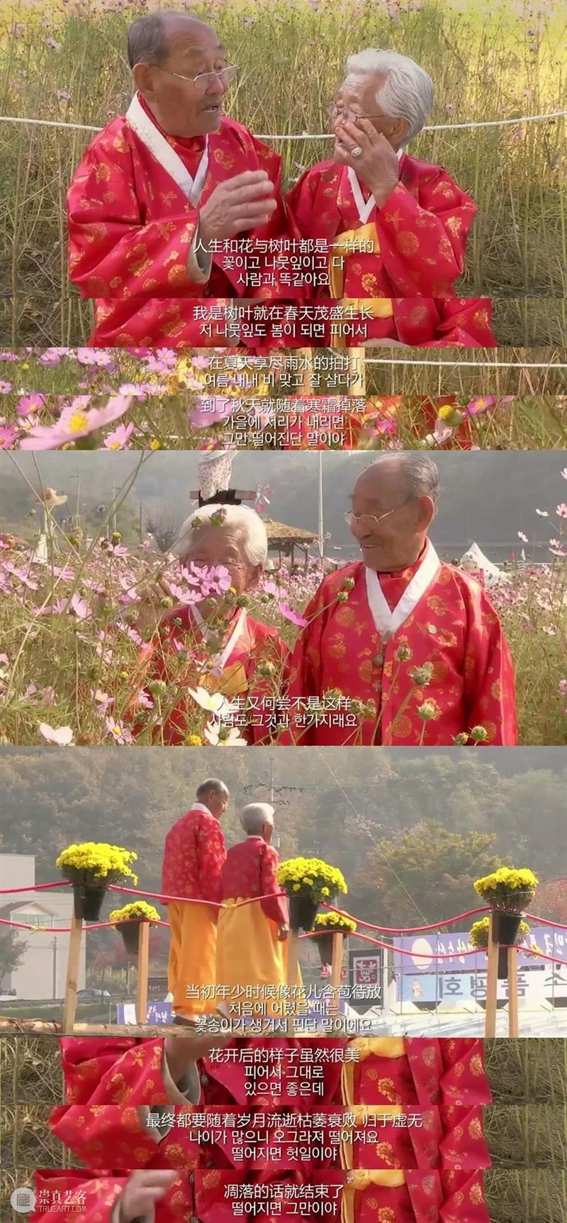 豆瓣9.3分,这部电影让我看到了爱情最好的样子 爱情 电影 豆瓣 样子 故事 现实 现象 爱情故事 老一辈人 身上 崇真艺客