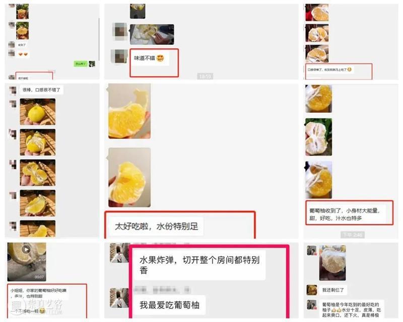 世界柚乡的葡萄柚上市了,清甜多汁,错过又要等一年! 葡萄柚 世界 柚乡 柚子 红心 白心 黄金 味道 柑橘 之间 崇真艺客
