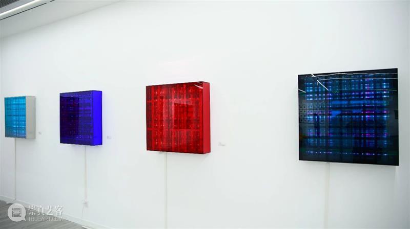秋实——90后女性艺术家群展|杨蝉翼作品解析 杨蝉翼 作品 秋实 90后 女性 艺术家群展 文字 符号 文本 书籍 崇真艺客