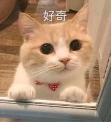 《长津湖》成2021年票房榜榜首；迪士尼​《丛林奇航》定档11月 长津湖 票房 榜首 丛林奇航 迪士尼 影视 好剧 小豆 资讯 豆瓣 崇真艺客